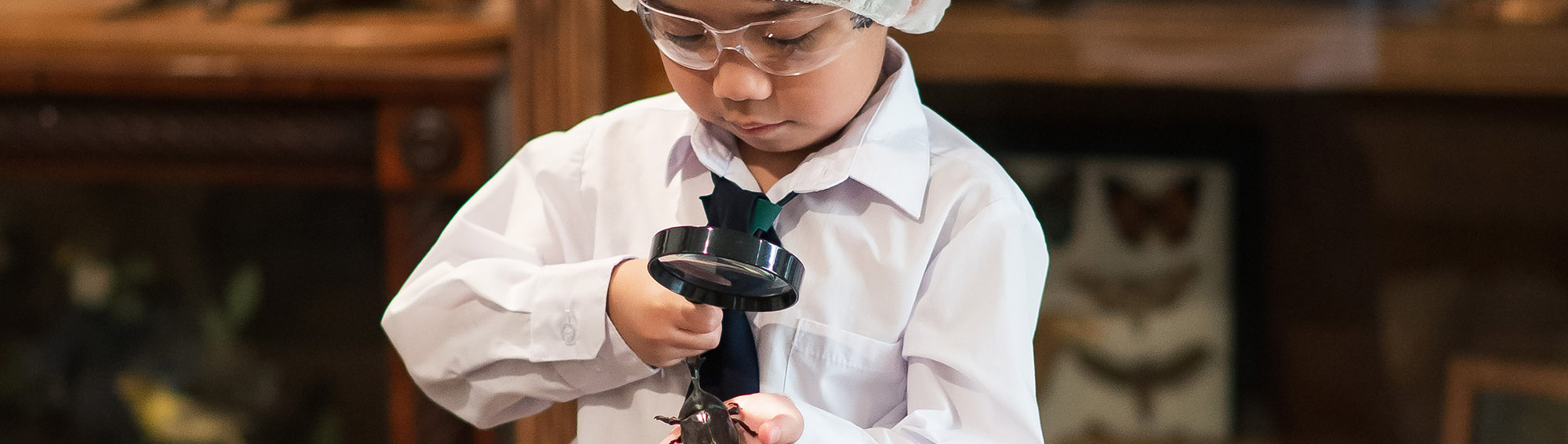 student scientist studying a beetle under a magnifying glass